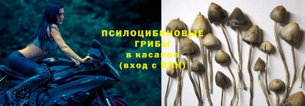дмт Вяземский