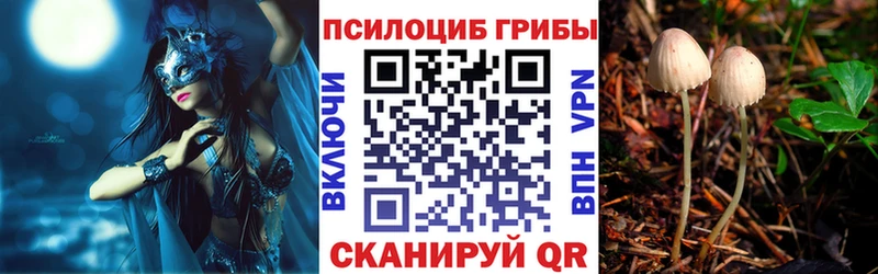 где купить наркоту  Макарьев  Псилоцибиновые грибы мицелий 